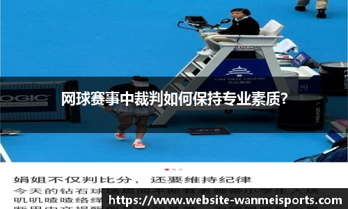 完美体育公司